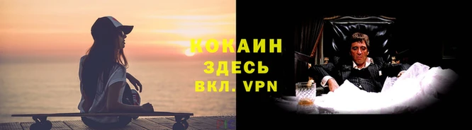 кокаин Магас