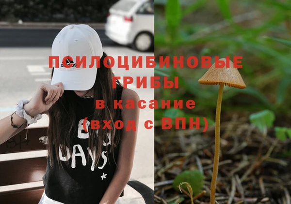 СК Мегион
