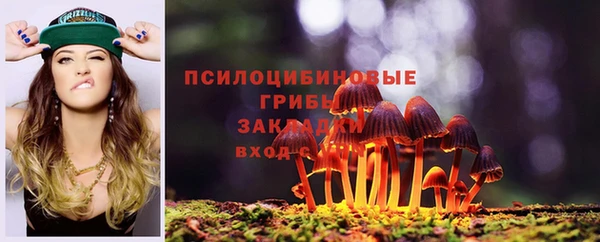 СК Мегион