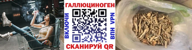 закладки  Рыльск  Галлюциногенные грибы мухоморы 
